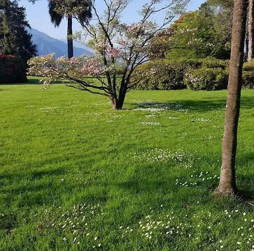 Apartment Nona Lakeside At Patrician