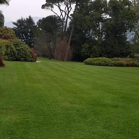 Nona Lakeside At Patrician