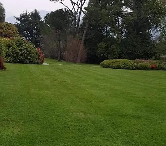 Nona Lakeside At Patrician